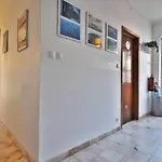 Hostel Costa Norte Ribeira Grande