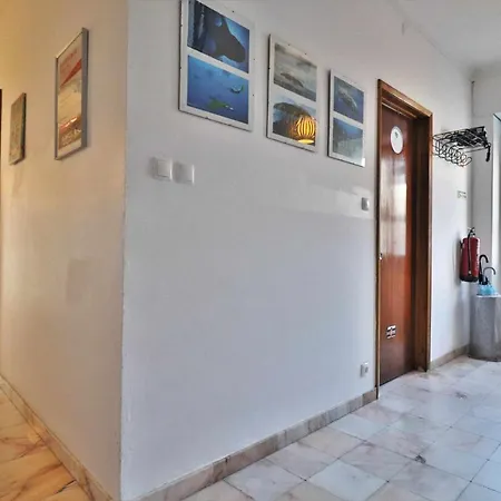 Hostel Costa Norte Ribeira Grande